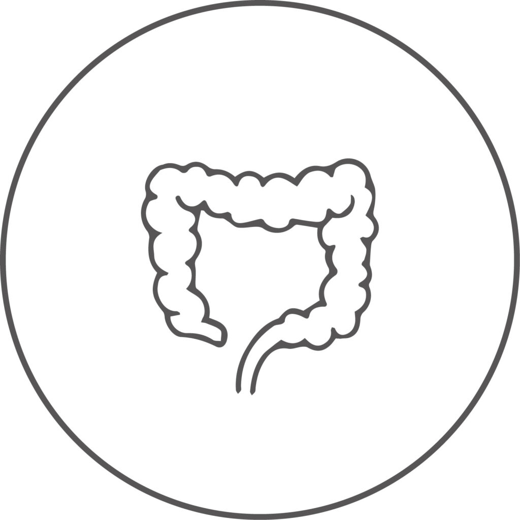 Salvida_Koloskopie