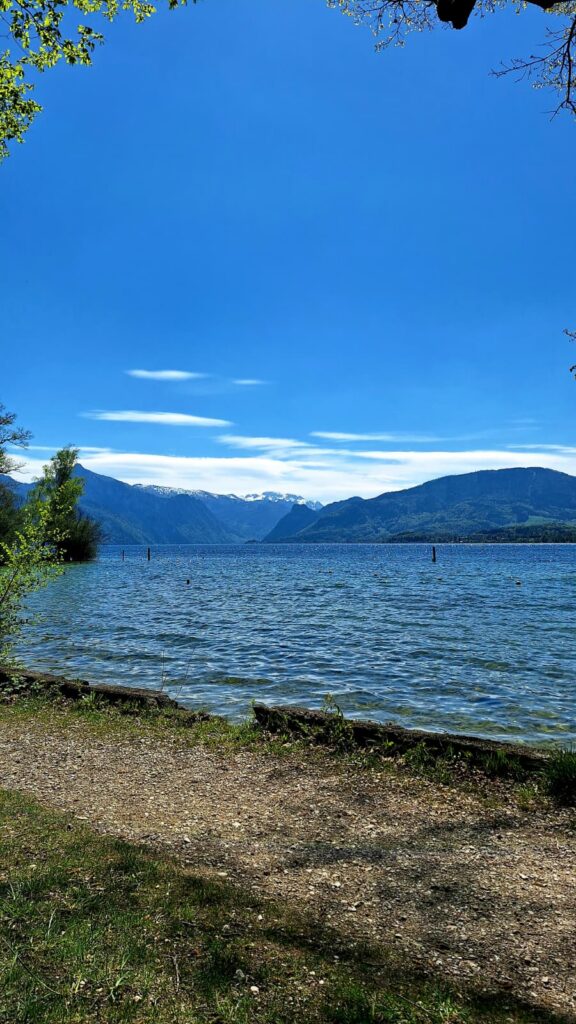 Ein See im Sommer vor dem Gesundheitscheck